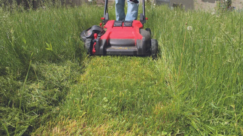 Vision Team seeks yardwork for ‘Project Community’
